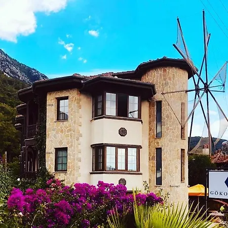 Hotel Goekova *