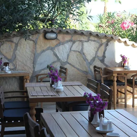 Hotel Goekova *